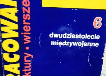 Dwudziestolecie międzywojenne 6 literatura antykwariat