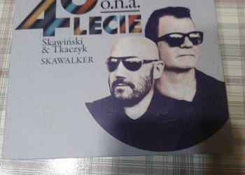Płyta dvd