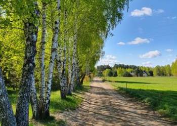 Działka na mazurach, wieś Kolonia gmina Świętajno. Wydane war.zabudowy