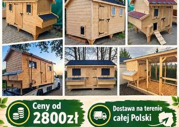 Kurniki na sprzedaż, różne rodzaje, cała Polska