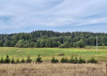 Działka 4000m2 w Szypliszkach - asfalt, media