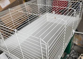 Klatka 96 x 57cm dla śwniki, chomika ...