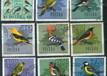 Zn. Fi 1570 - 8 kas 1966