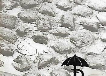 PARASOL DZIEJE ODDZIAŁU DO ZADAŃ SPECJALNYCH KD KG AK