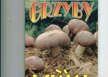 Grzyby na działce - Zofia Bednarek
