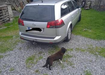 Opel Vectra C zadbany