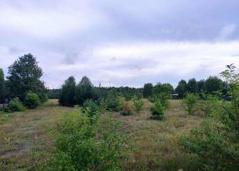 Działka rolno-budowlana Jacentów, gm. Radoszyce, powiat konecki, Sielpia