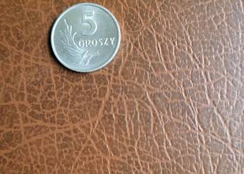 Stara moneta z PRL 5 groszy