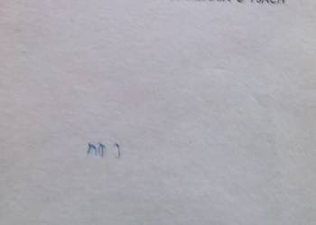 Czy to pies czy bies