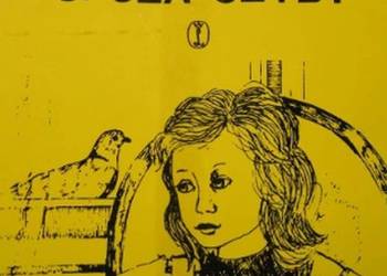 DZIEWCZYNKA SPOZA SZYBY - CHARLEWSKA DZIEWCZYNKA SPOZA SZYBY - CHARLEWSKA