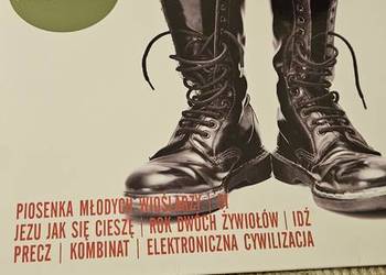 Sprzedam płyte winylową