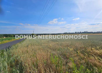 Oferta sprzedaży działki 3001m2 Tworzyjanki