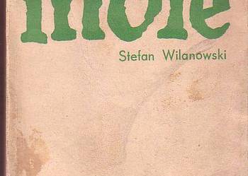 (6314) INDIE  (SPOŁECZEŃSTWO, EKONOMIA, POLITYKA) – STEFAN W