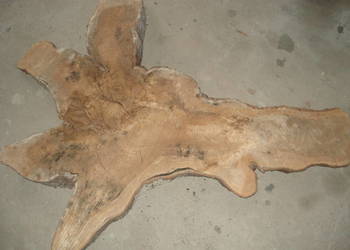plaster drewna wiąz