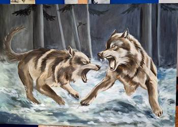 Obraz Wilki 100x70cm