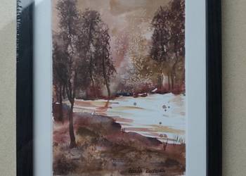 Akwarela Akwarelka Obraz pt: Leśny Szmer - oprawiona