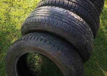 Opony całoroczne Dębica