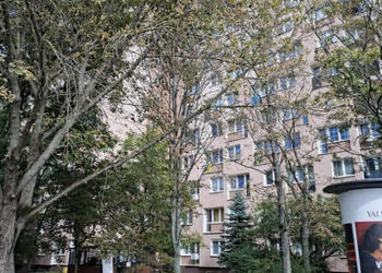 wynajme
