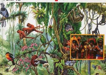 Co i jak Lasy tropikalne T.18