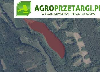 Dzierżawa 6,03 ha stawu