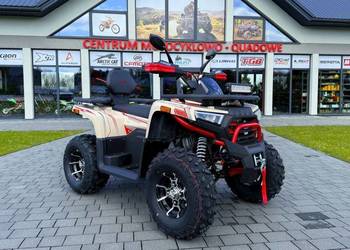QUAD ASIX CHALLENGER T3B 250CC 10'' ALU 1+1 • Kolor: Piaskowo/czerwony