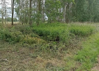 Kąty Trzebuskie działka 10 ar z WZ Sprzedam