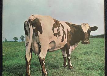 Pink Floyd - płyta winylowa