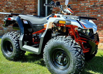 KAYO Inny SALON MOTOCYKLOWY MOTOEAGLES Kayo AU 180 Sprawdż ofertę i Serwis