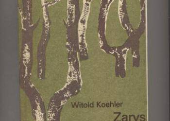 Zarys hylopatologii - Koehler