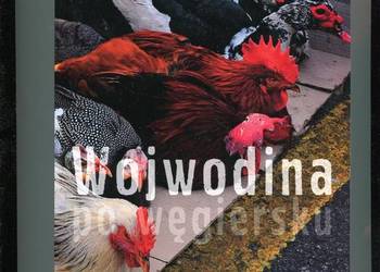 Literatura na świecie 2009 nr 5-6