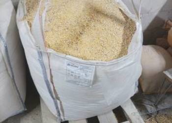 Kukurydza gnieciona pasza dla kur wysyłka