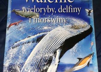 Walenie - wieloryby, delfiny i morświny - L. Beckelman