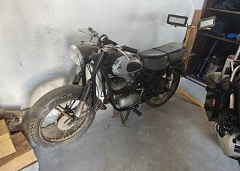 SHL 175