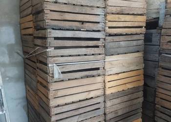 Skrzynki uniwersalki