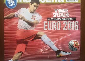 Skarb kibica Euro 2016
