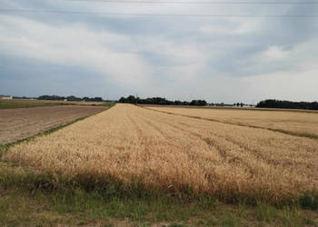 Żwirownia 15 ha w jednym kawałku ziemia z pokładami żwiru i piasku.