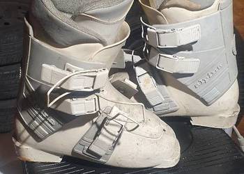 Buty narciarskie ALPINA