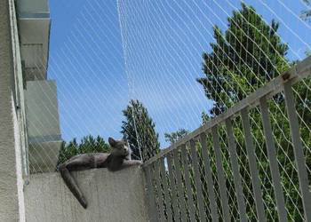 Siatka dla Kota na Balkon Drzwi i Okna montaż Łódź