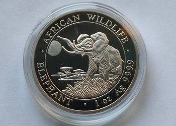 MONETA / SOMALIA 100 SHILLINGS 2020 / SŁOŃ