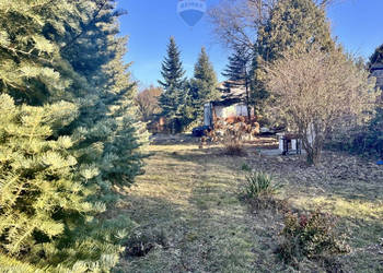 Działka ROD przy ul. Bukowskiej