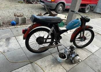 Komar sztywniak sport