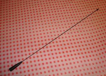 antena samochodowa