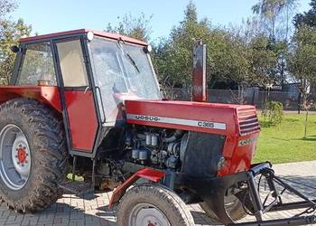 Ursus 385