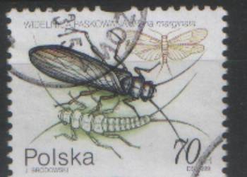 Zn. Fi 3635 kas 1999