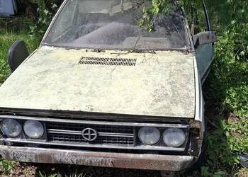 Polonez Borewicz