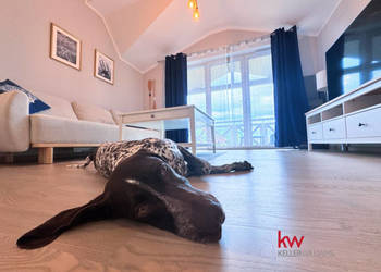 Mieszkanie Mielno 49 metrów 2 pokoje