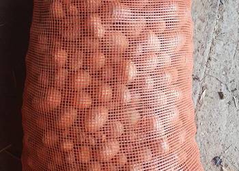 Sprzedam ziemniaki paszowe, Dynów,