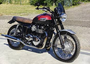 Triumph T100 Bonneville piękny scrambler