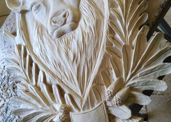 Deska pod zrzuty byka