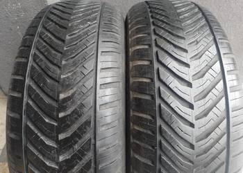 Wielosezonowe Kormoran 16